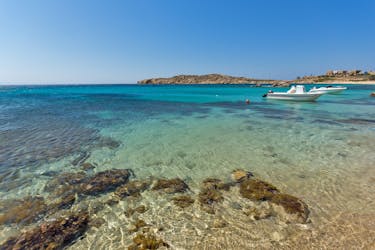 Опыт частной яхте Миконос: южное побережье и острова Dragonisi